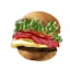 Avatar of user hamburger hamburger