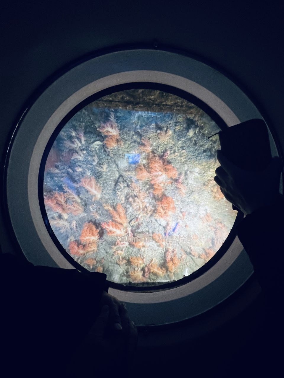 Go to Photos de la Galerie's profile