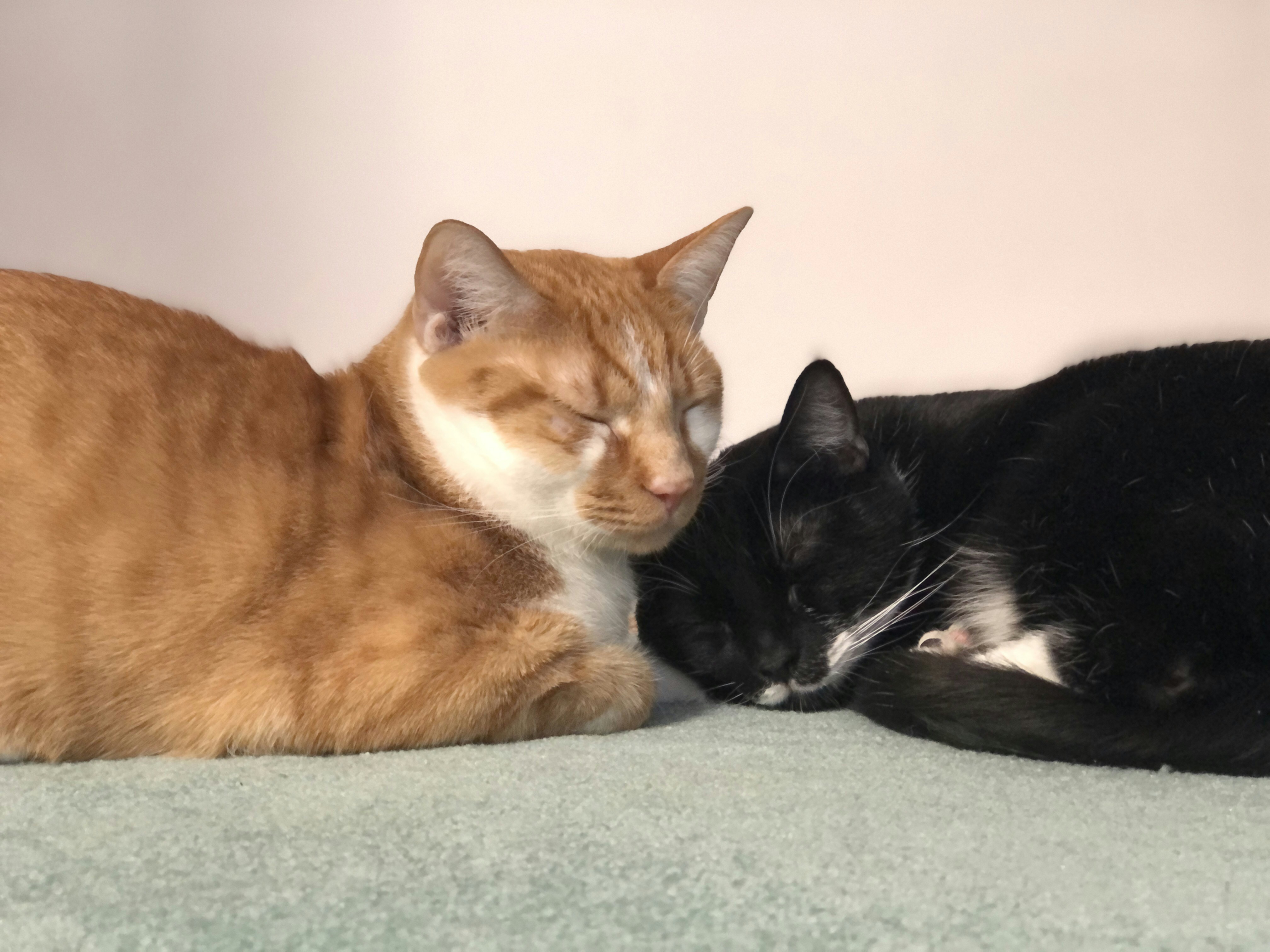 Go to Maria Lin Kim's profile