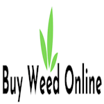 Avatar of user Buy Weed Online