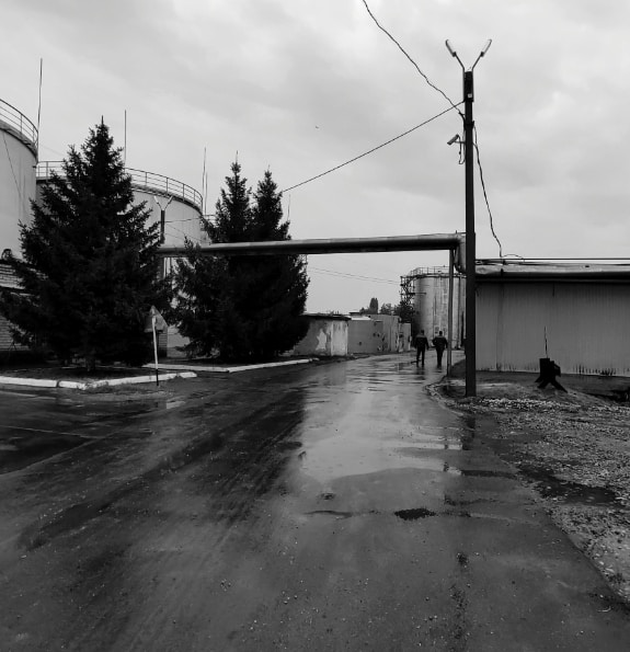 Go to Jah Nomad's profile