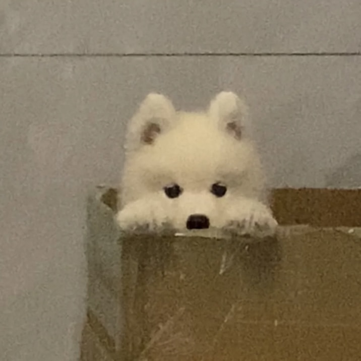 Go to Cheng Qi Huang's profile