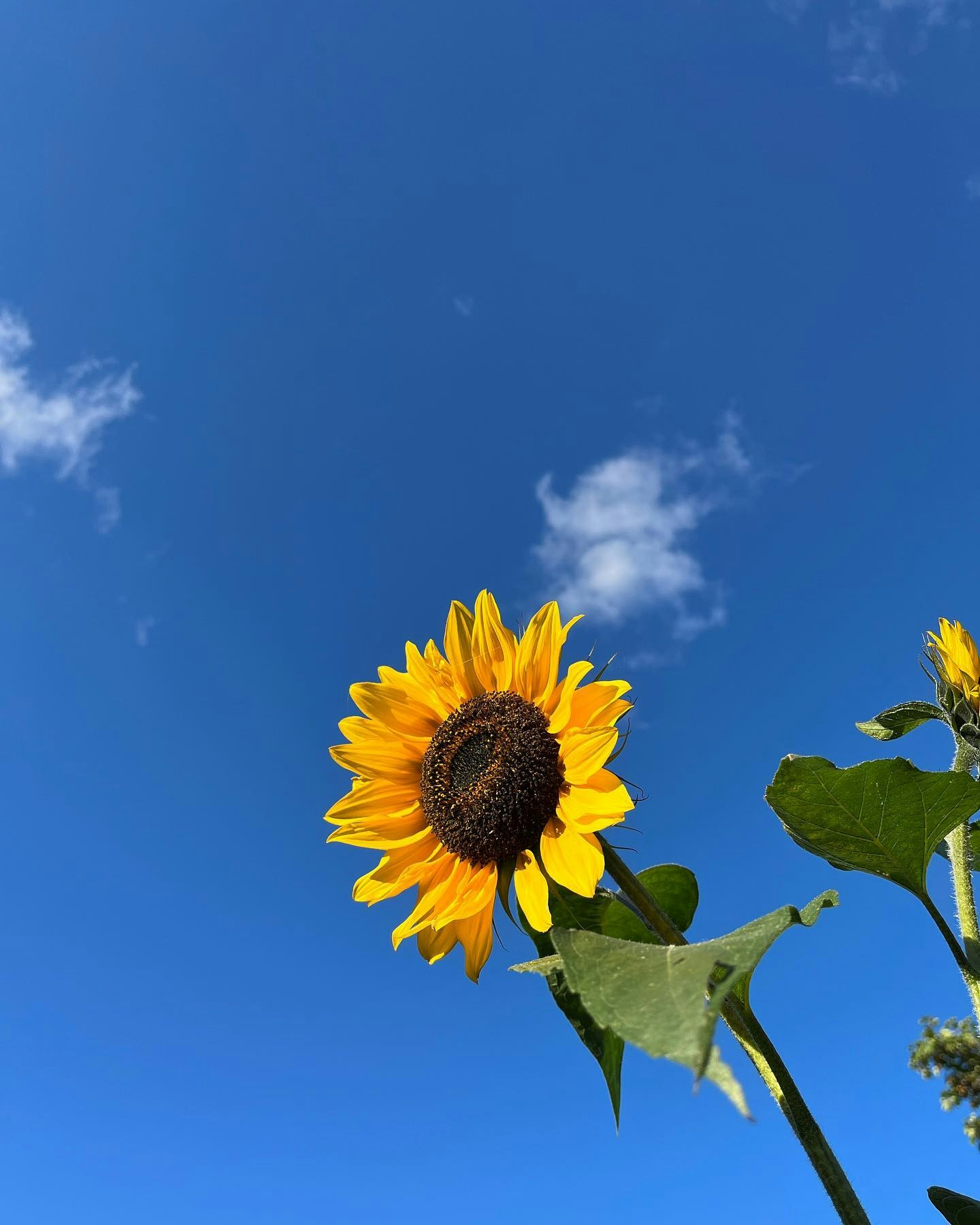 Go to Pradeep Kumar's profile