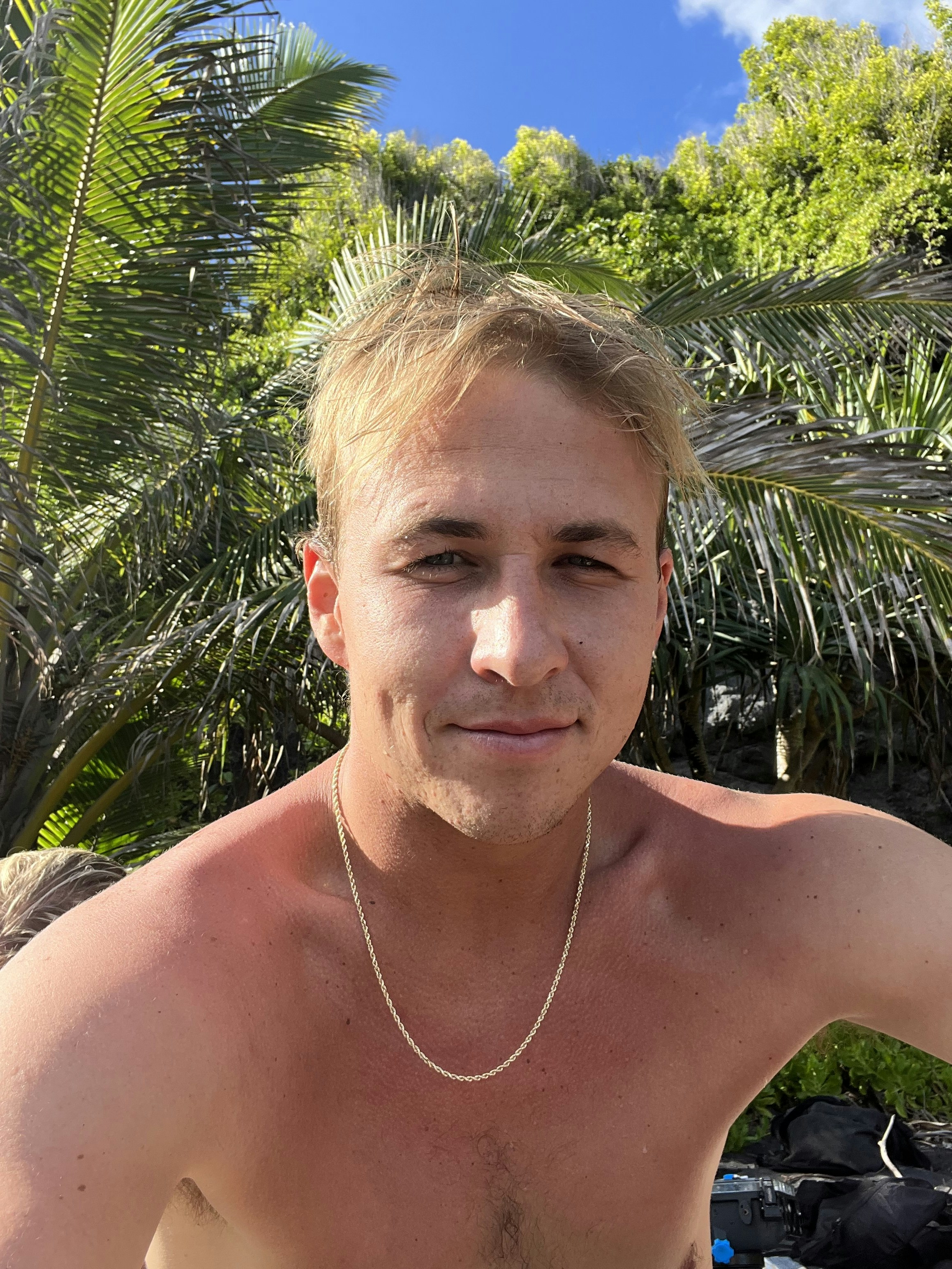 Go to Jake Houglum's profile