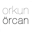 Go to Orkun Orcan's profile