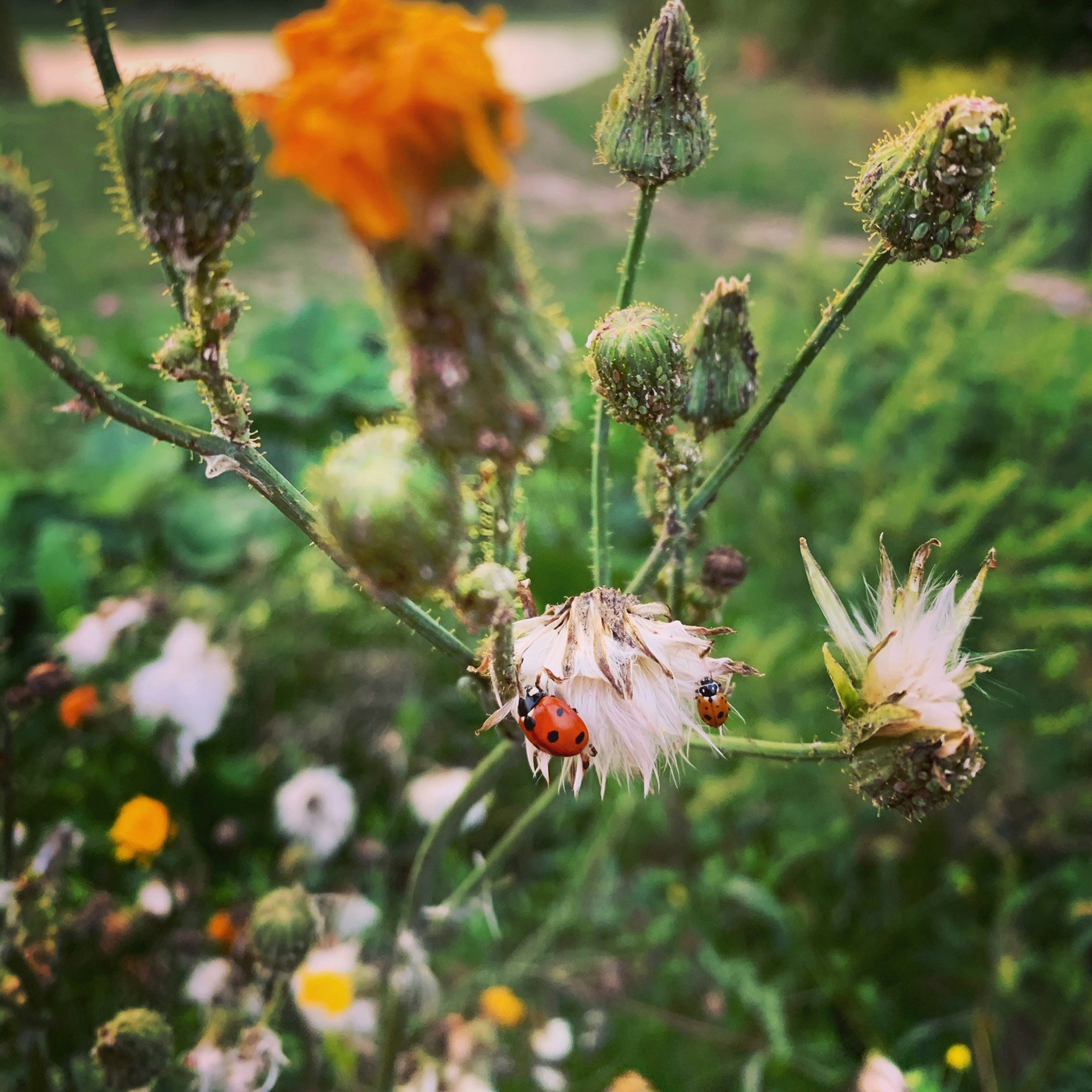 Go to Rach Cohen's profile