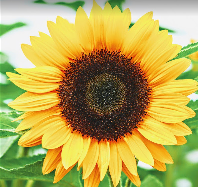 Go to Alexiyah Loyola's profile