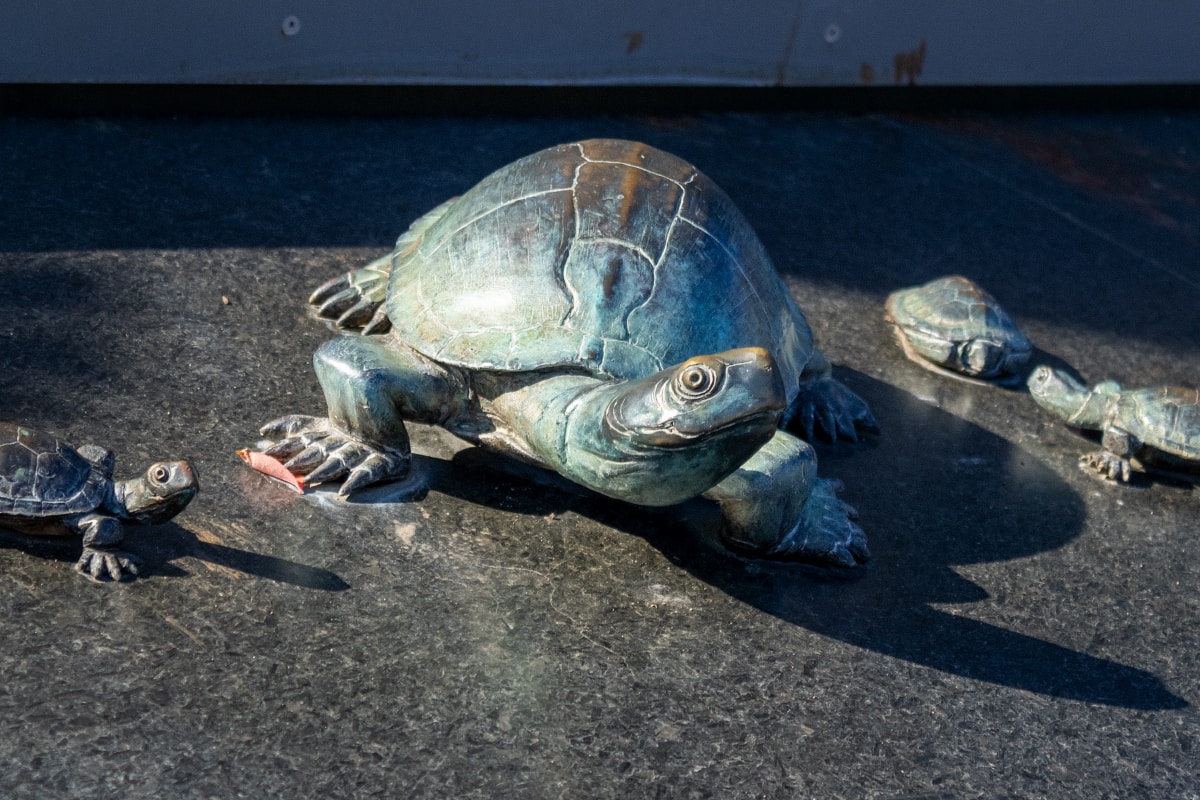 Go to Bobby Thomas's profile