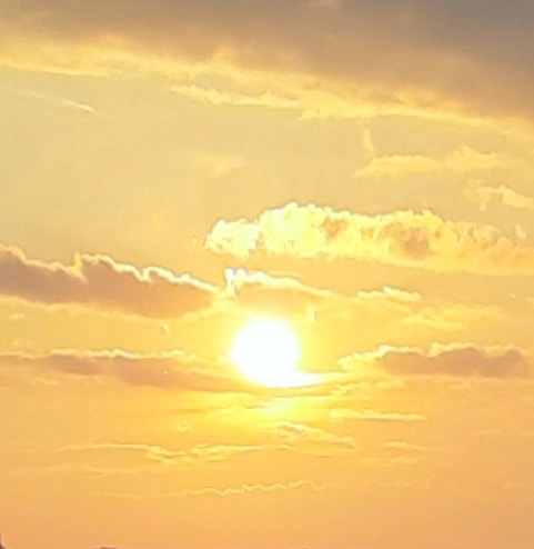 Go to Liudmila's profile