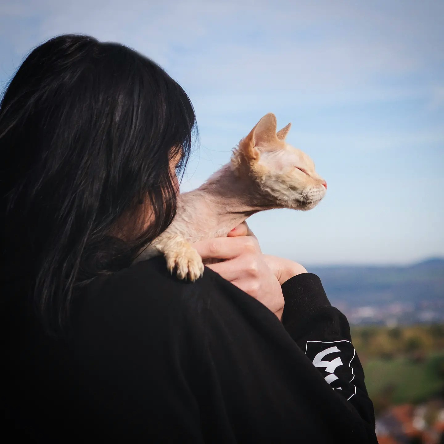 Go to Sandra's profile