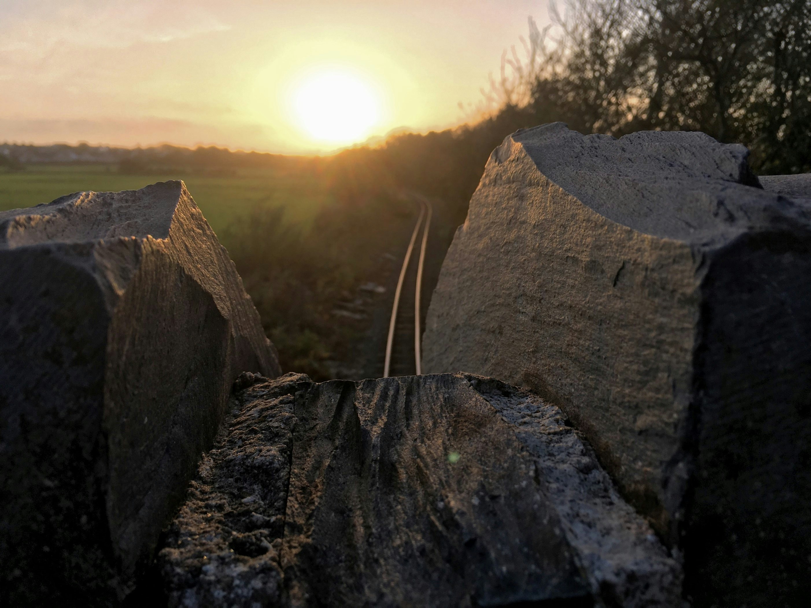 Zum Profil von Henry Pearsall