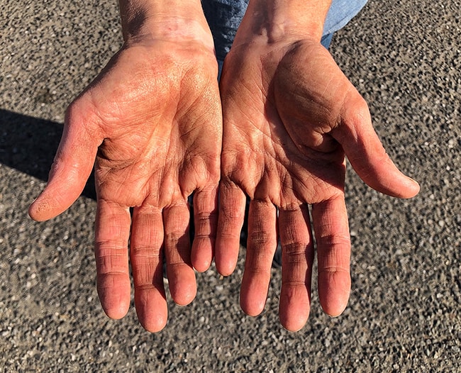 Zum Profil von Heather Swain