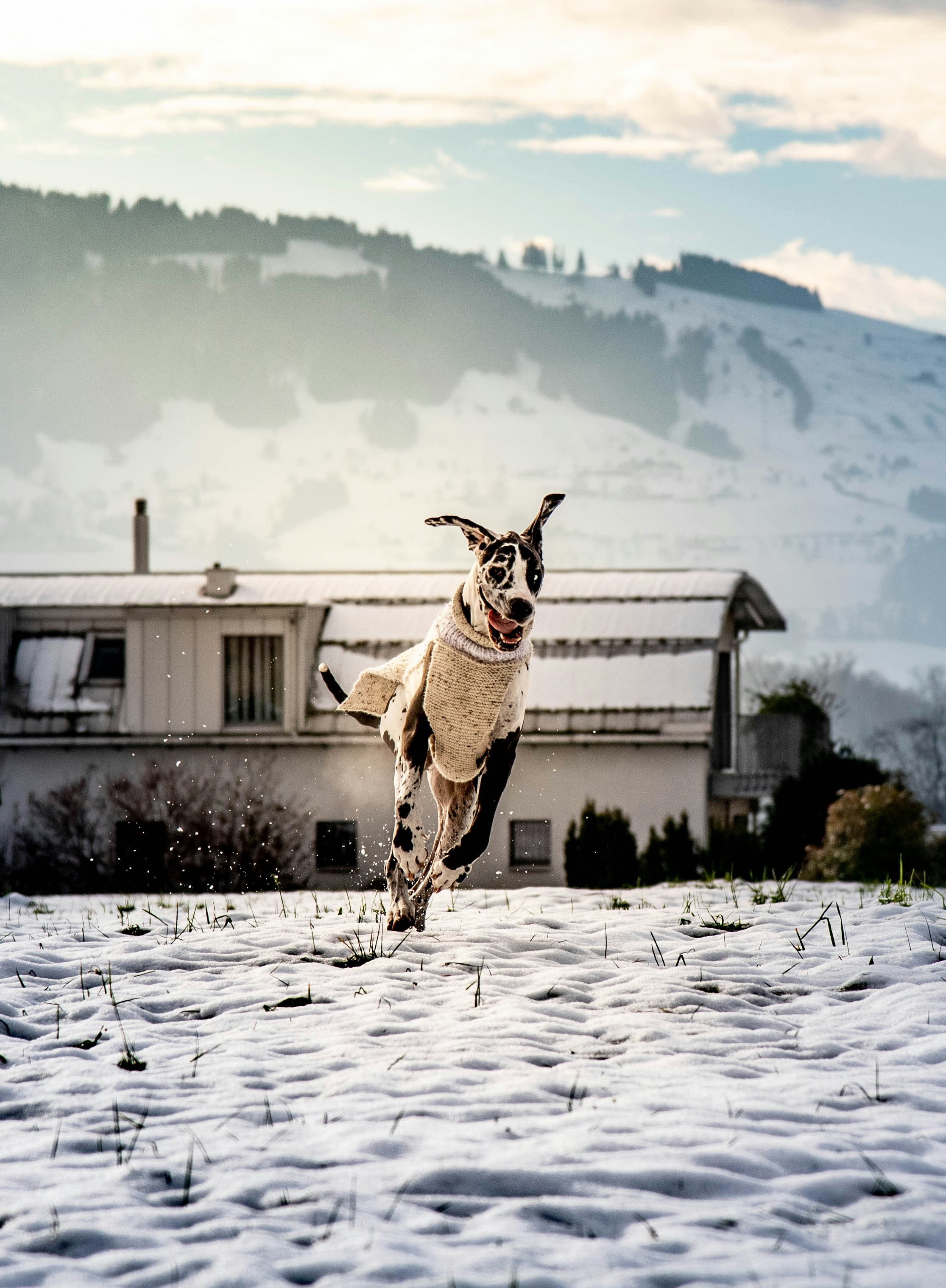 Go to Oleg Tamino Illenberger's profile