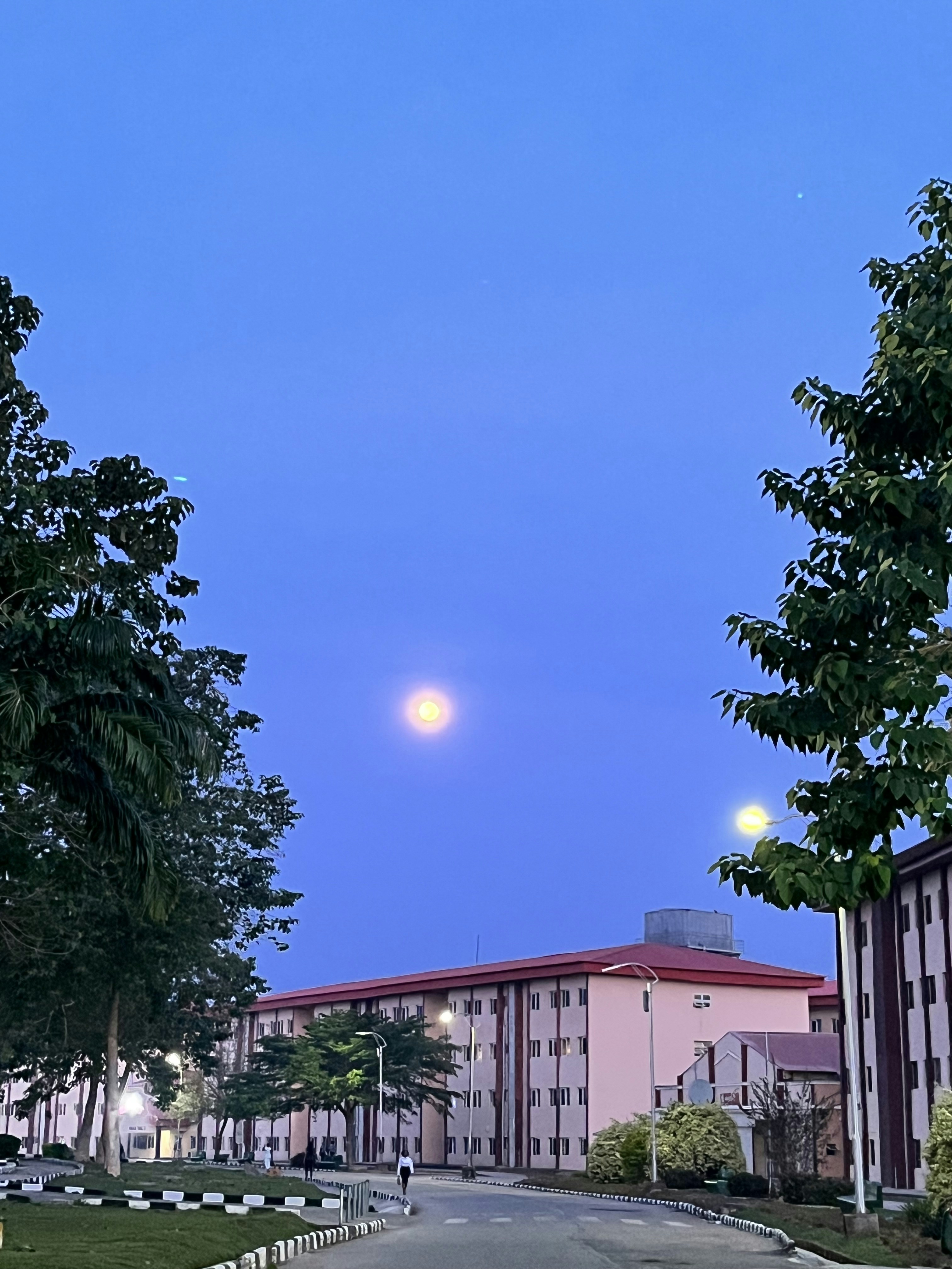 Go to Oluwatamilore Olatoye's profile