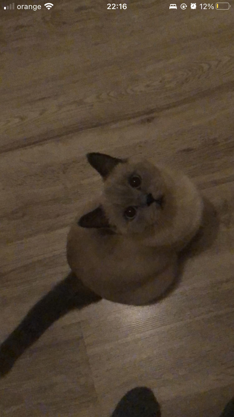 Vai al profilo di Valeria Istrate