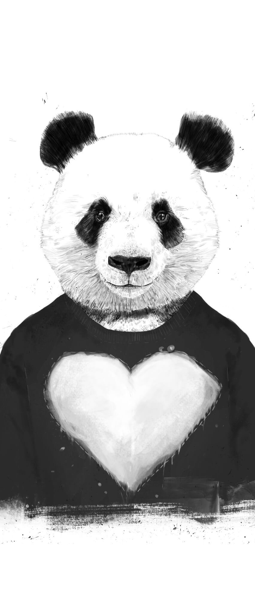 Go to Alexandru Panic's profile