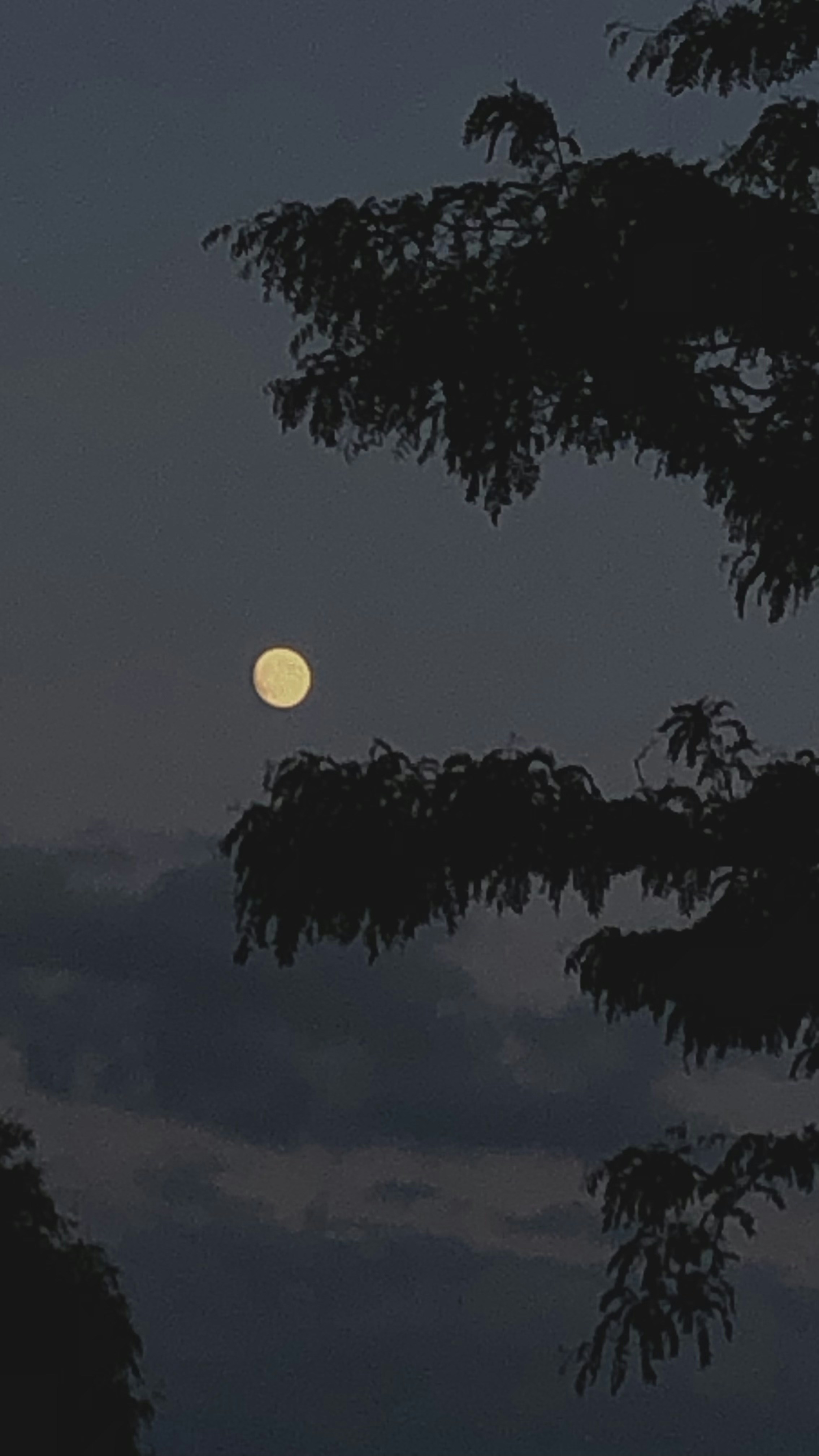 Zum Profil von Jillian Dupont