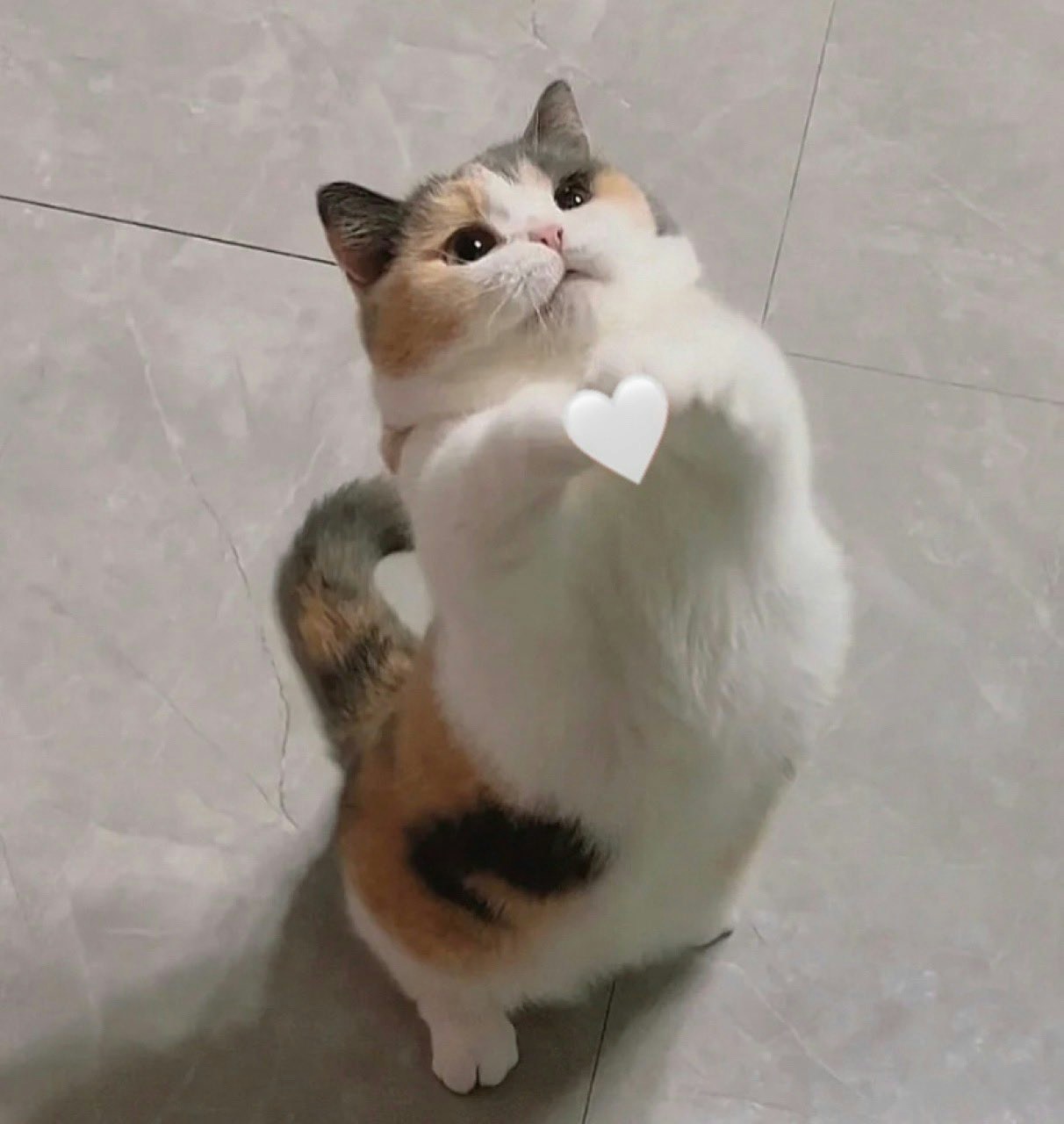 Go to Kyle  Wong's profile