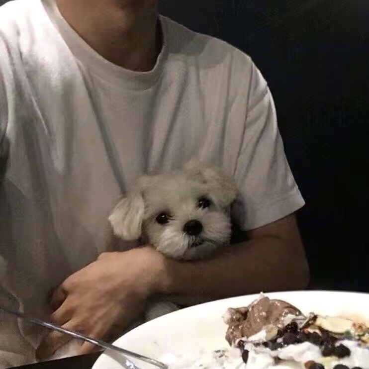 Go to tea mask's profile