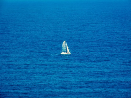 Go to Zander R's profile