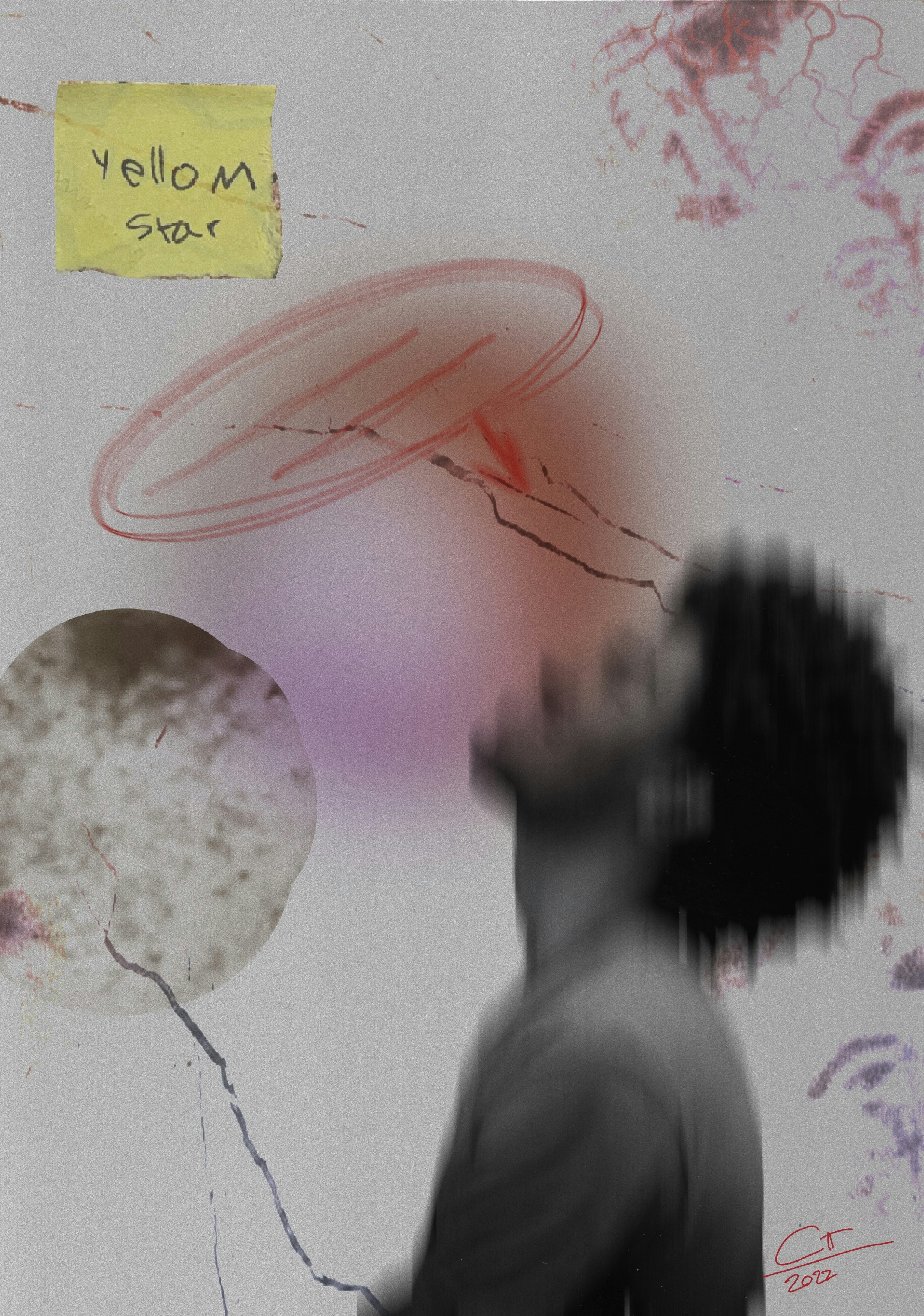 Go to Carlotta De Cock's profile