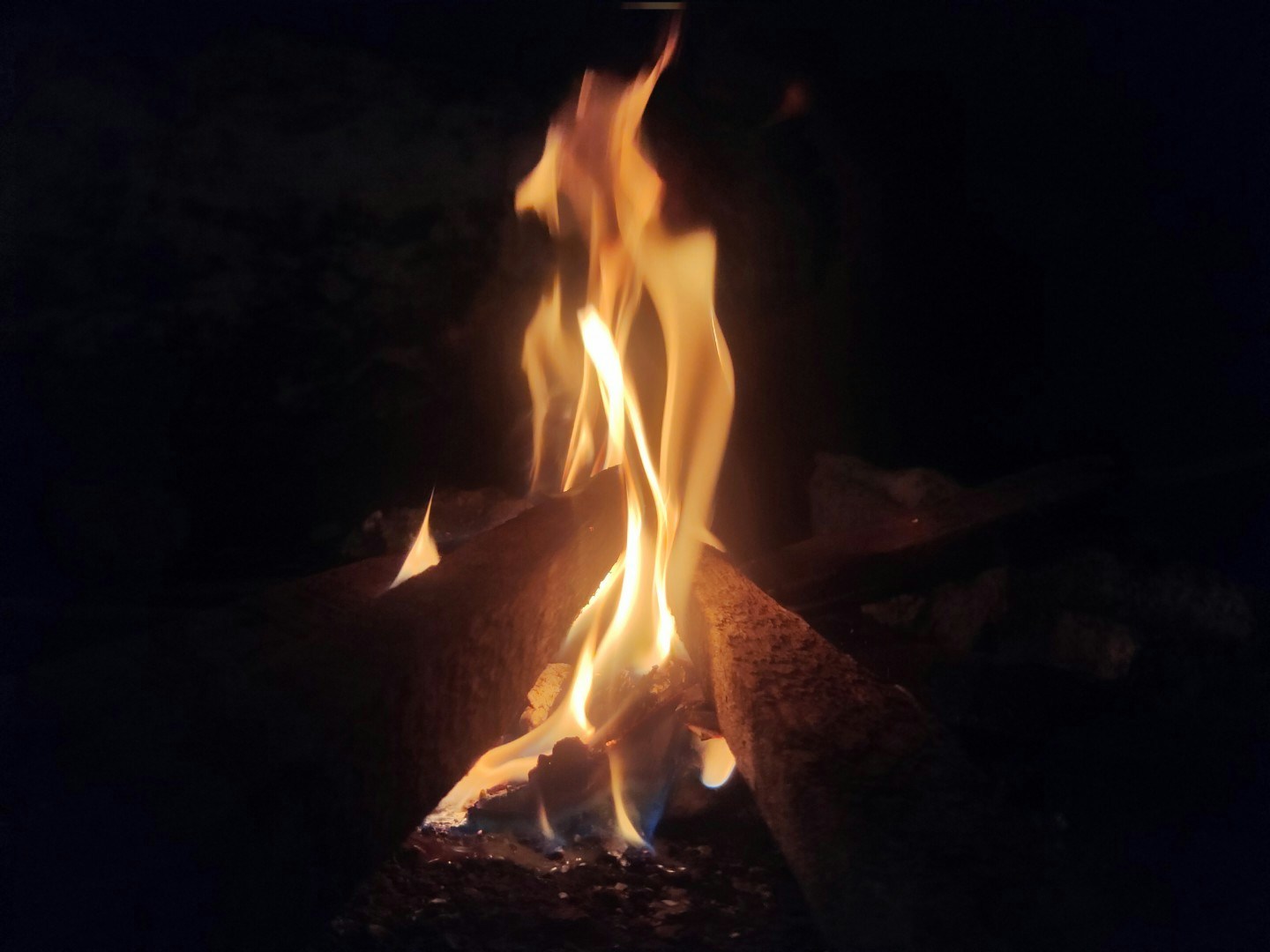 Go to Raditya Putra Mahardika's profile