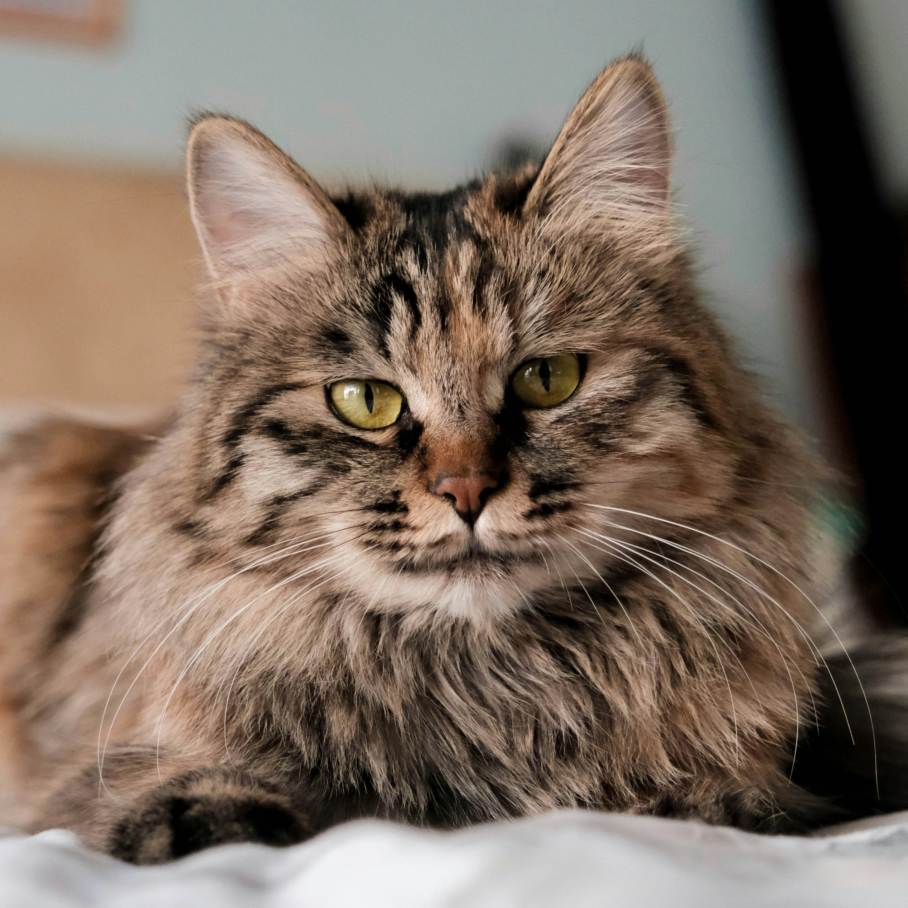 Go to Monica Yu's profile