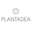 Go to PLANTADEA's profile