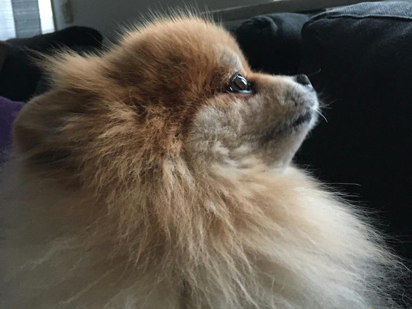 Go to Mahsa Miraftabzadeh's profile