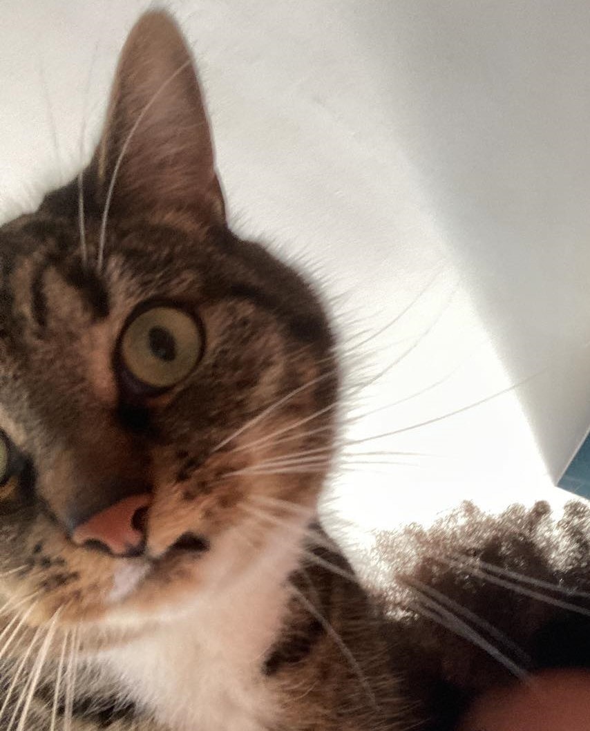 Go to C. Legros's profile