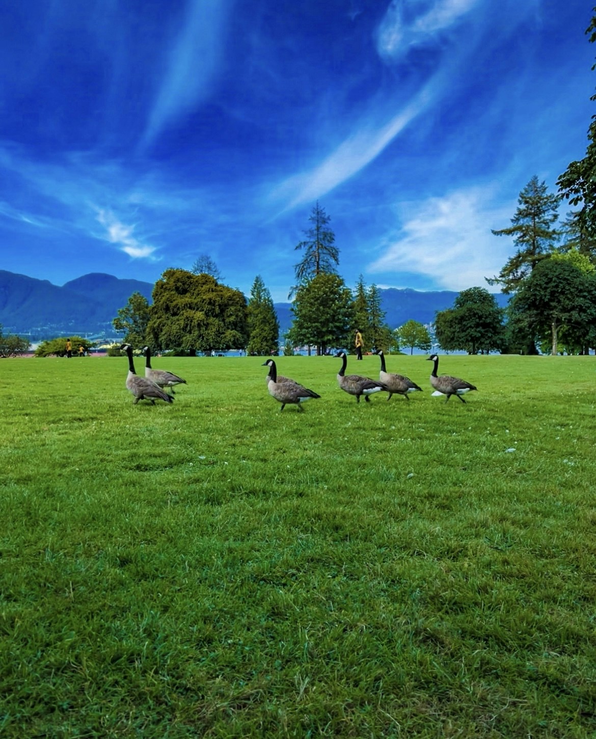 Go to Colourful Captures's profile