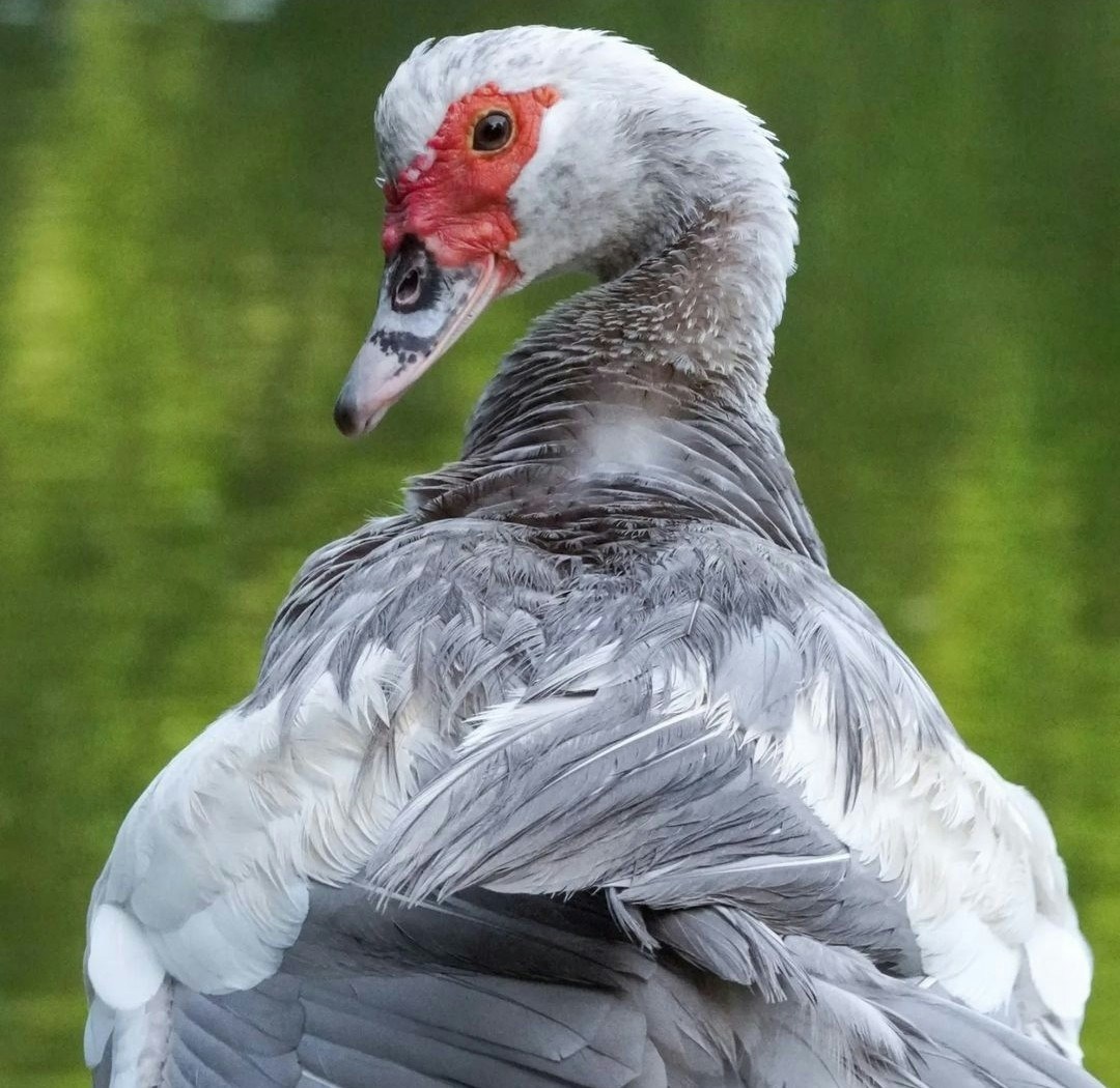 Go to Koushalya Karthikeyan's profile