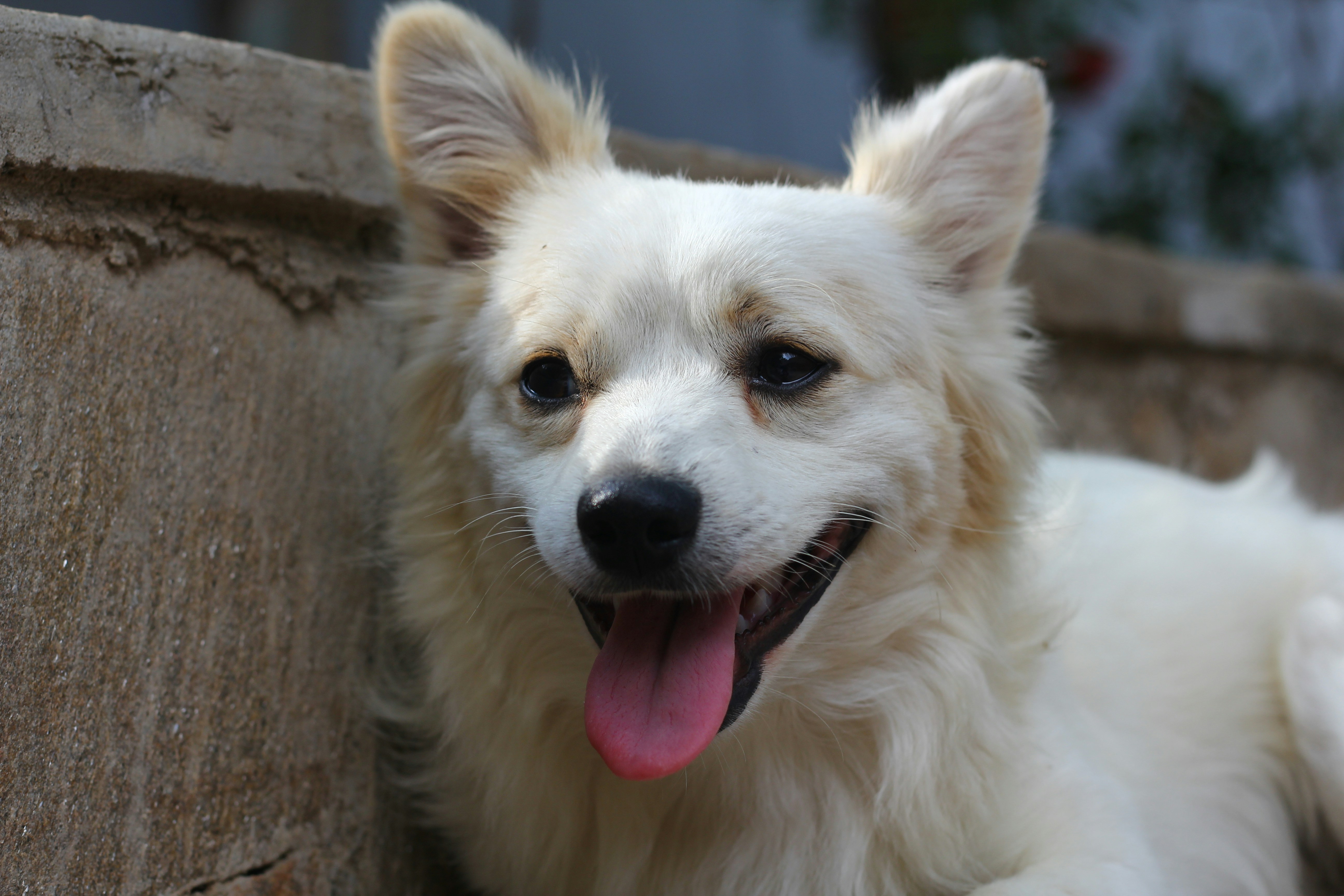 Ethan Nyatsineのプロフィールを見る