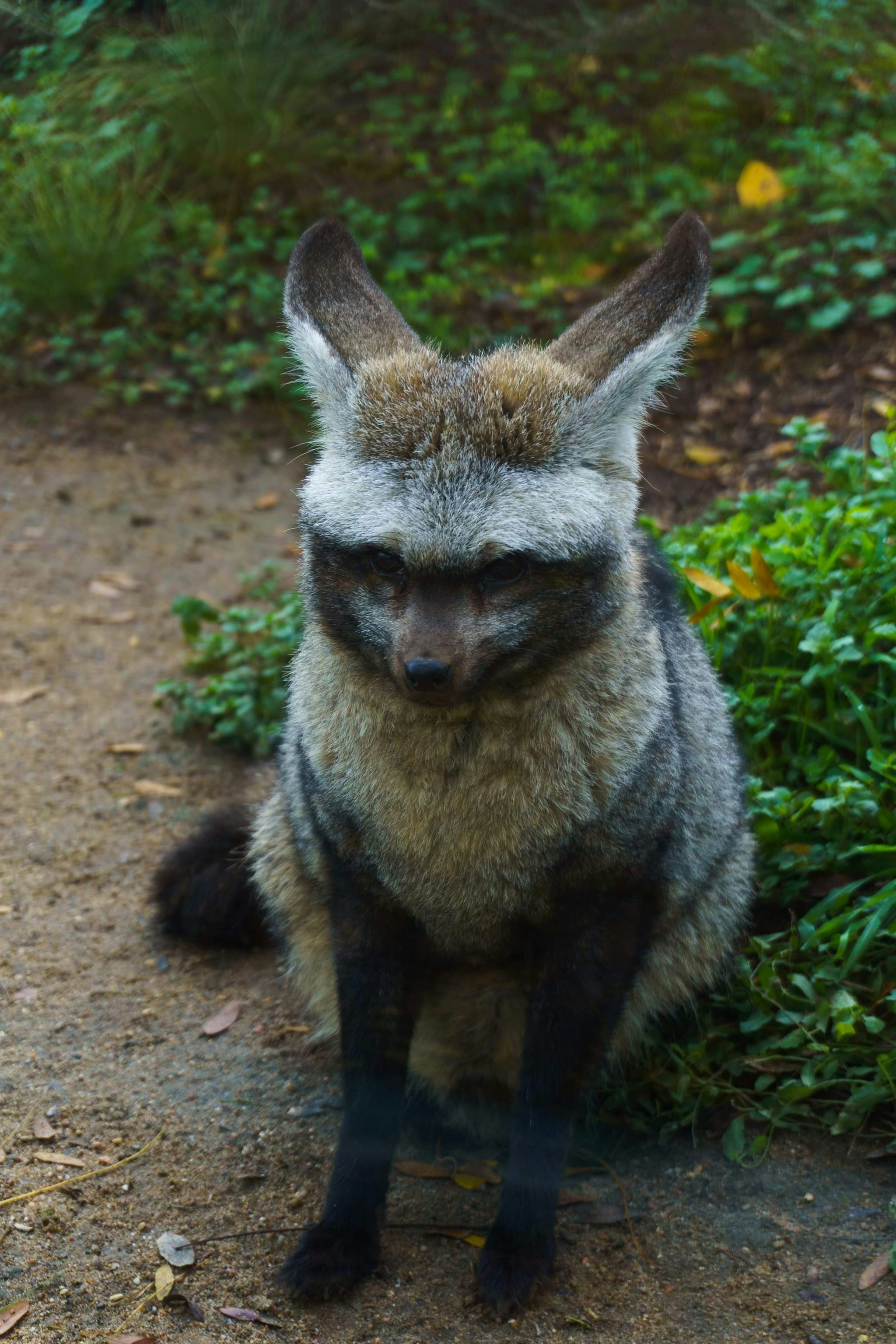 Go to Daniel Manas's profile