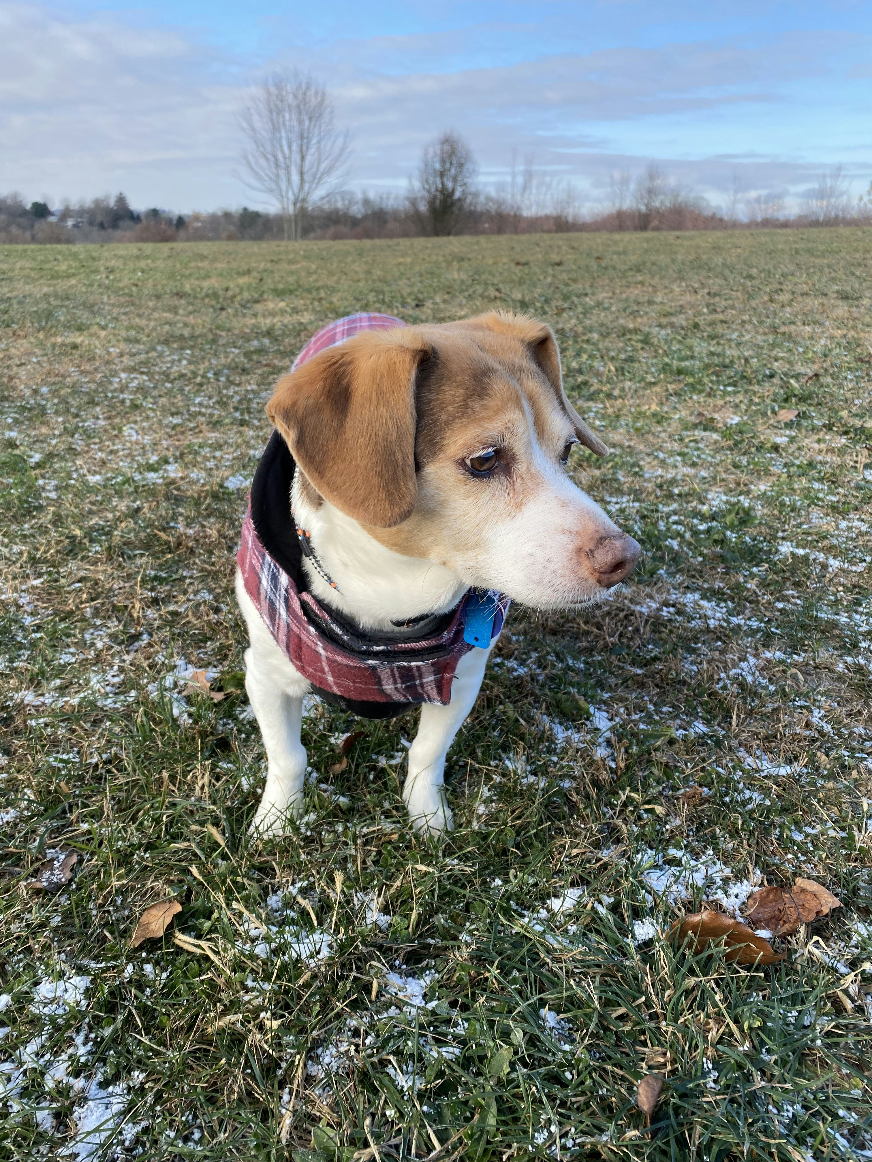 Avatar of user Judith Browne