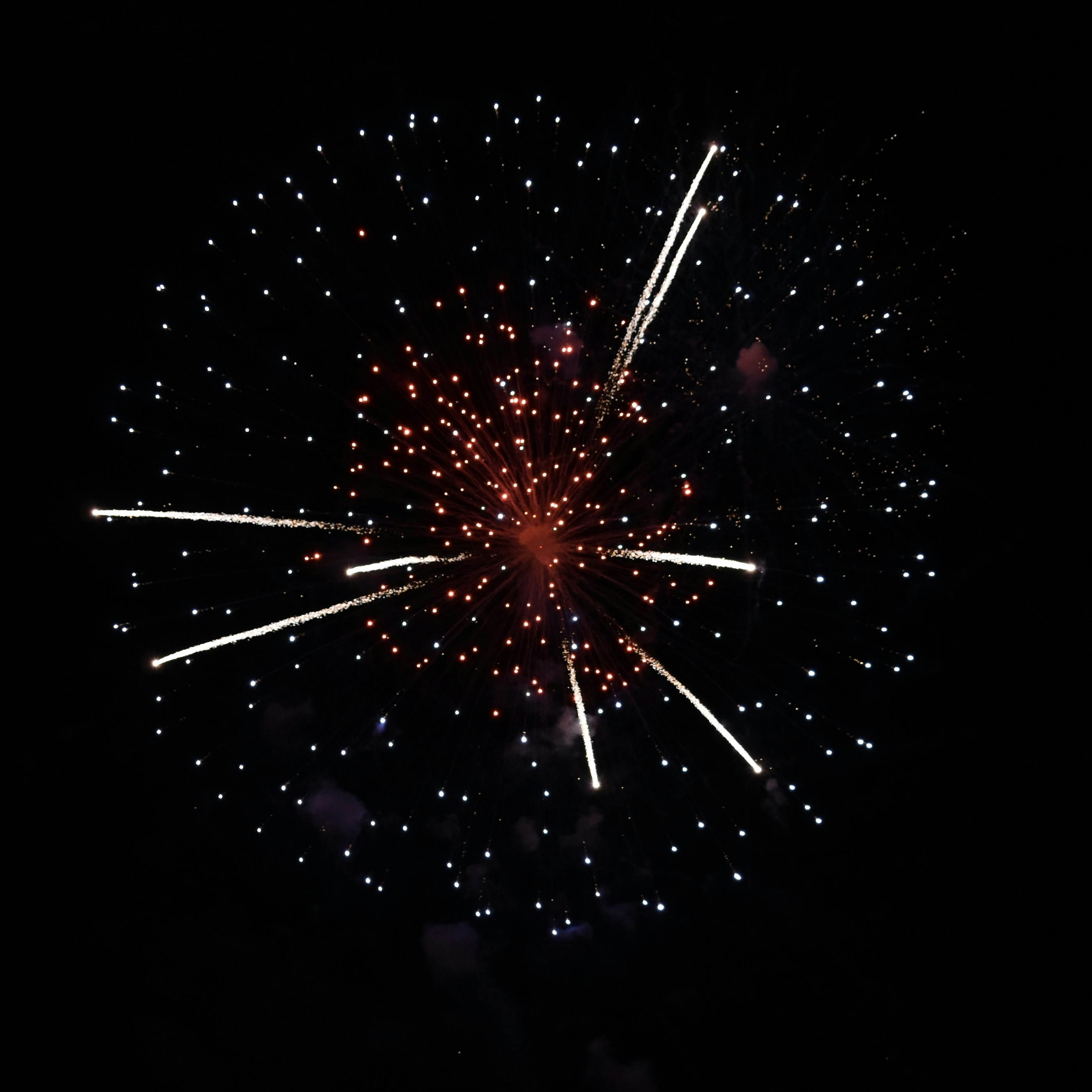 Accéder au profil de Koby Falconeri