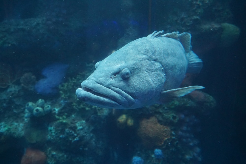 Go to Robert Linder's profile