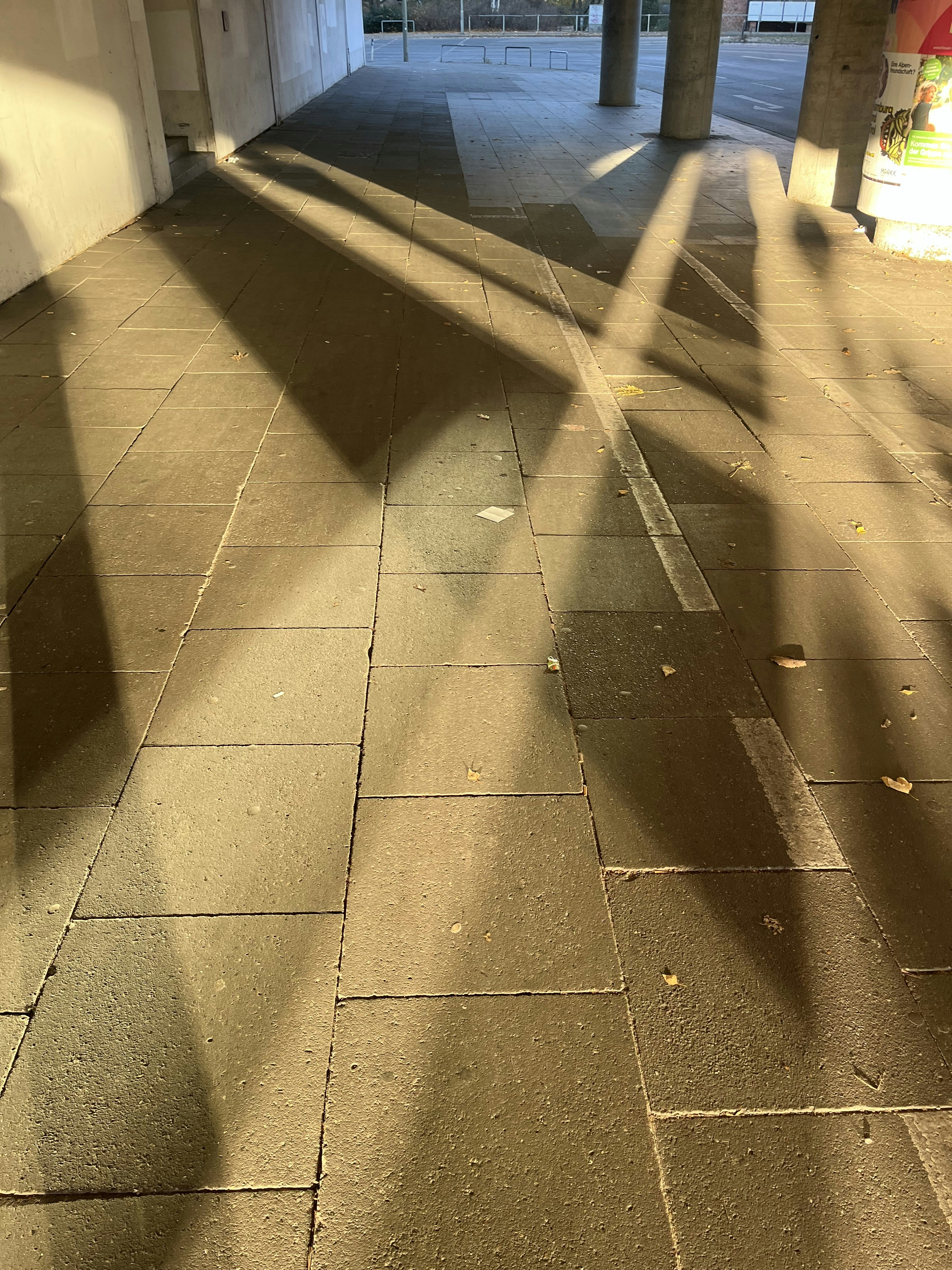 Zum Profil von Lisa Wiens