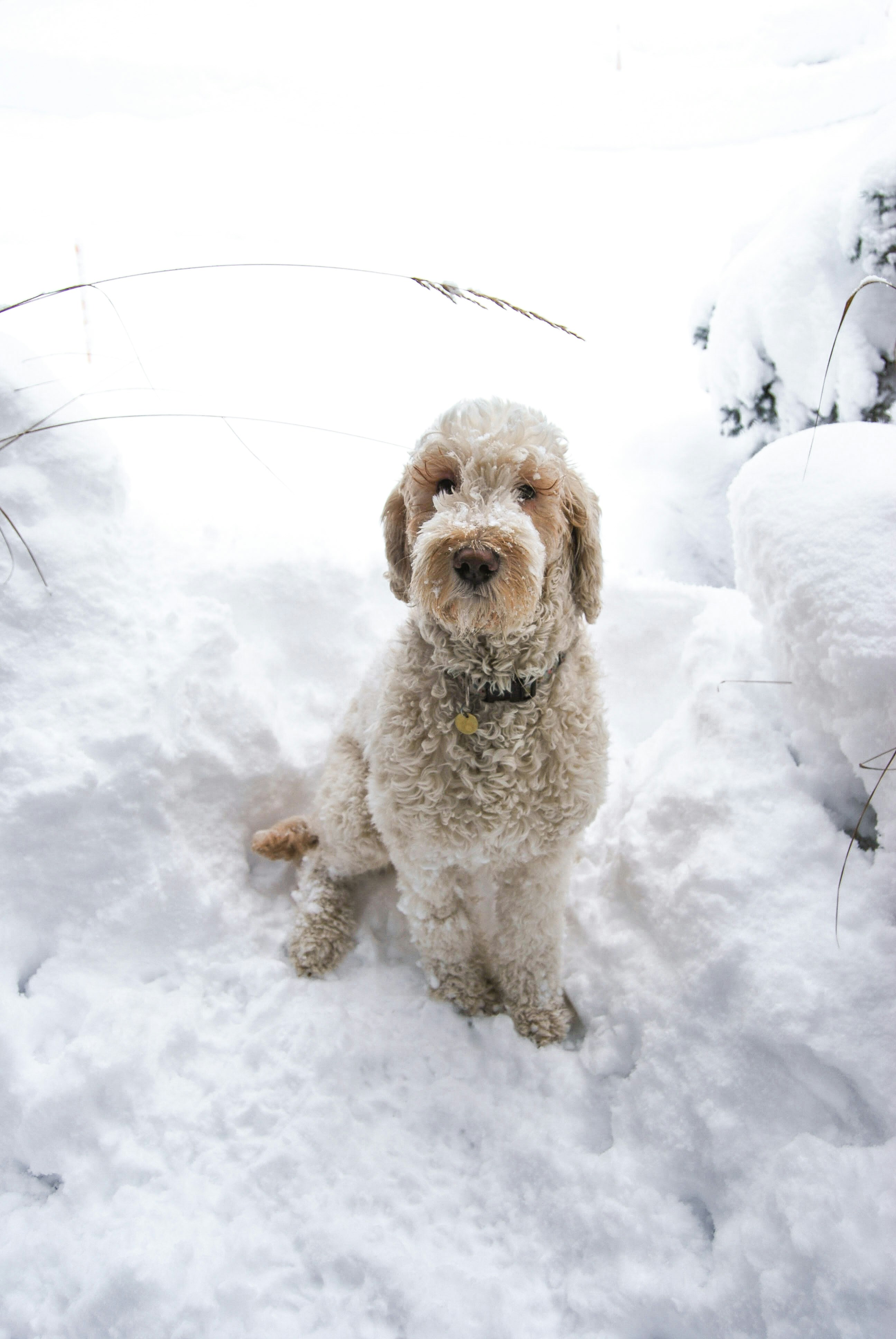 liane mayのプロフィールを見る