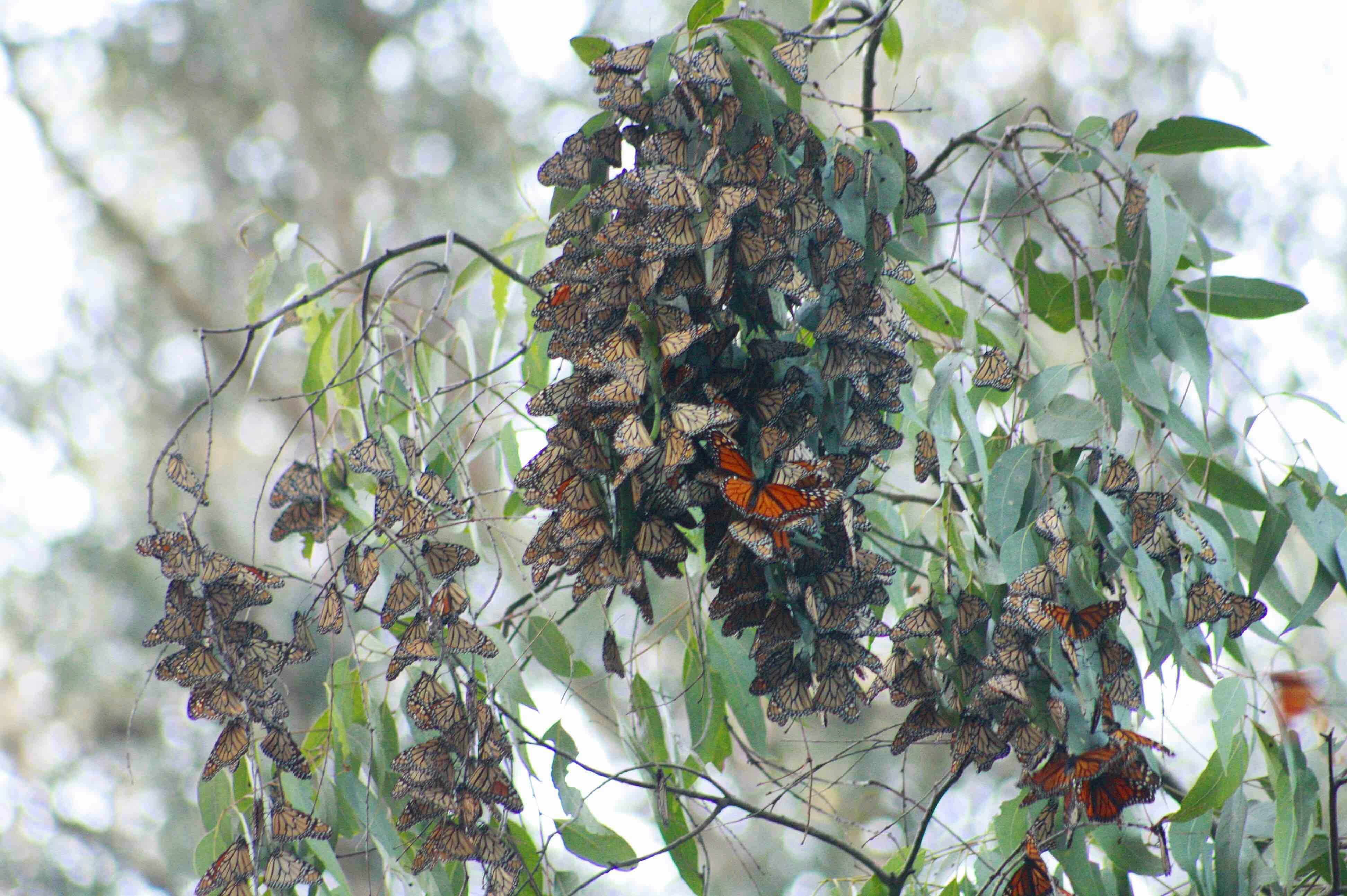 Ir para o perfil de Ari L