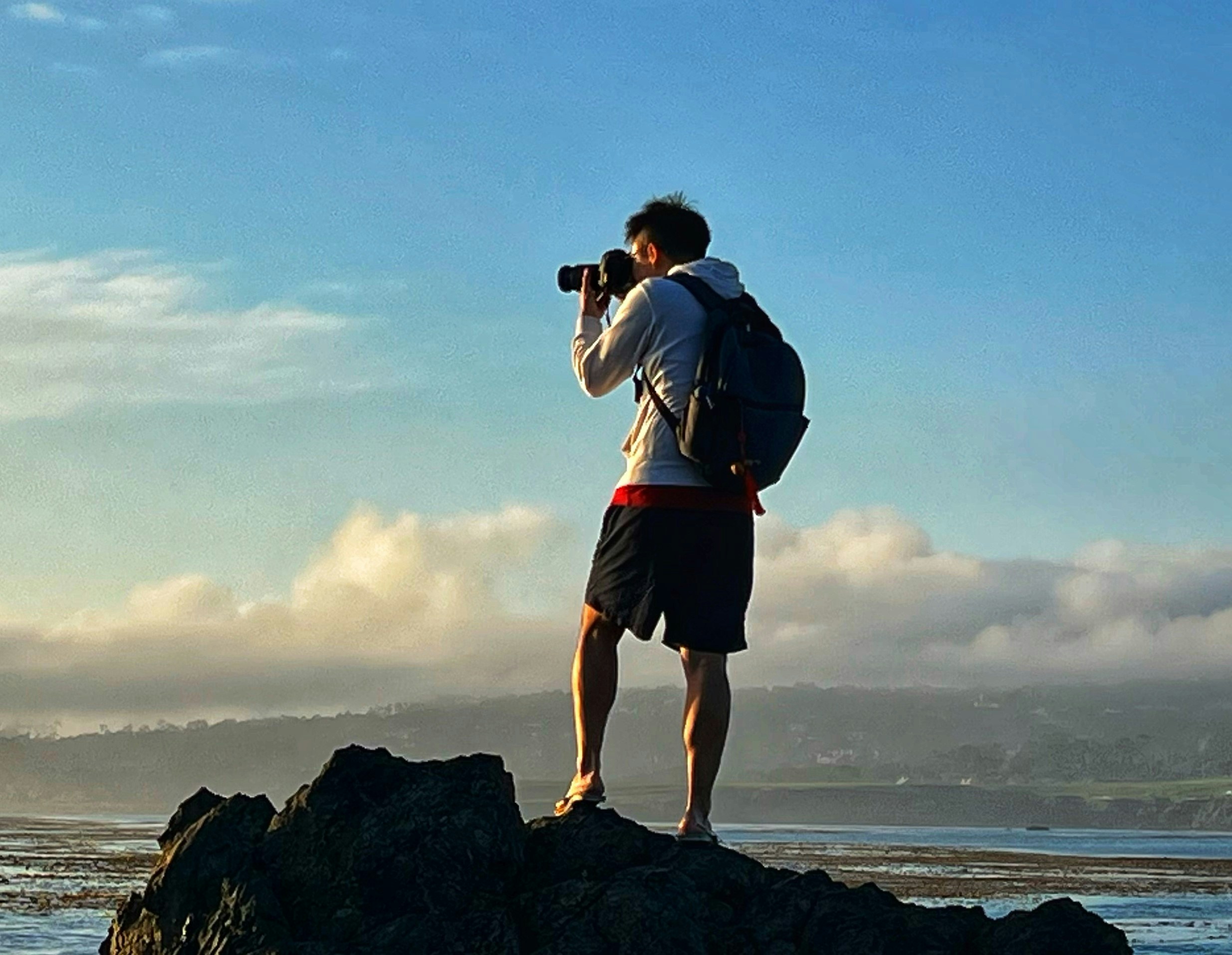 Ve al perfil de Bo Zhang