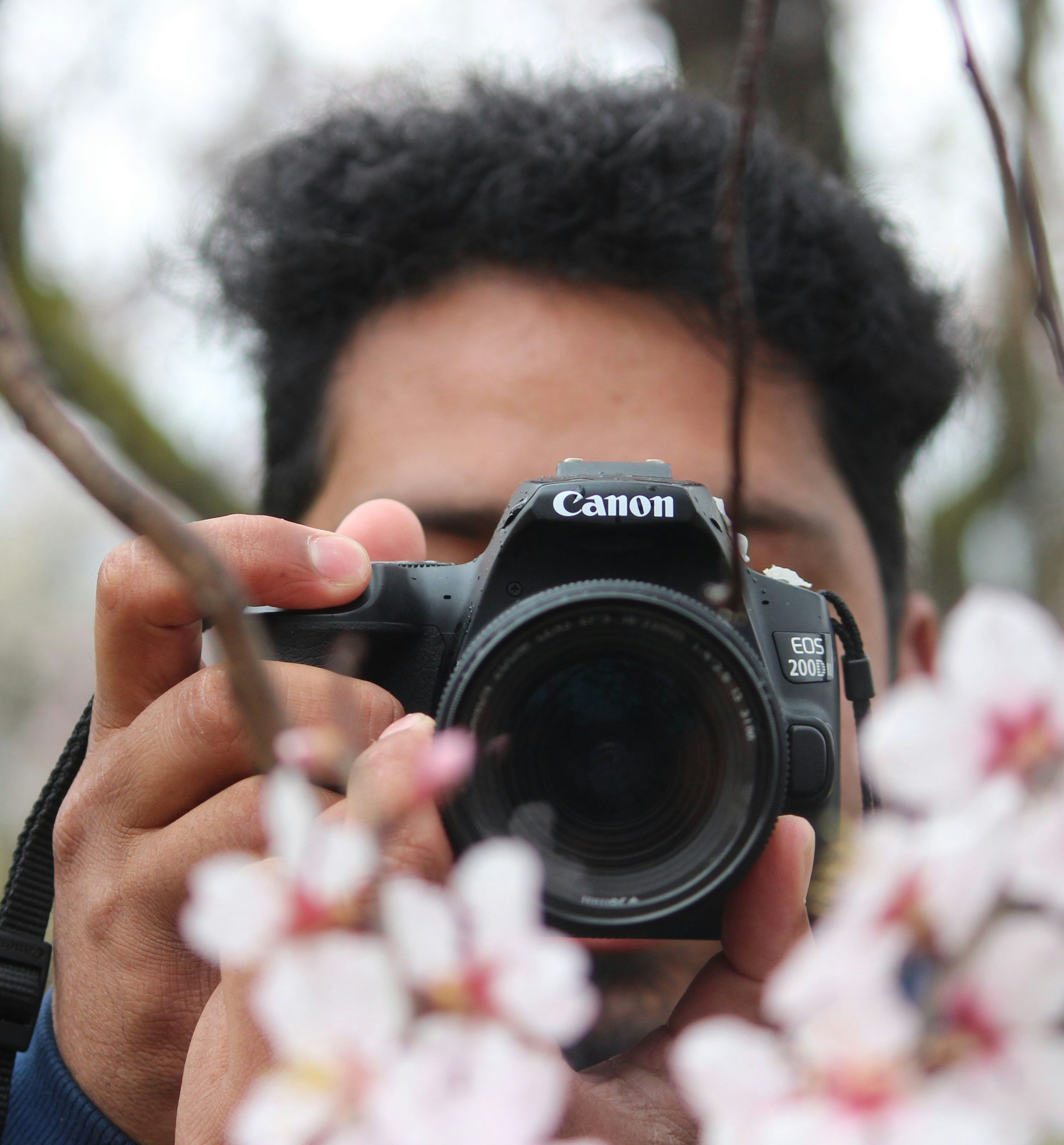 Go to Firdous Parray's profile