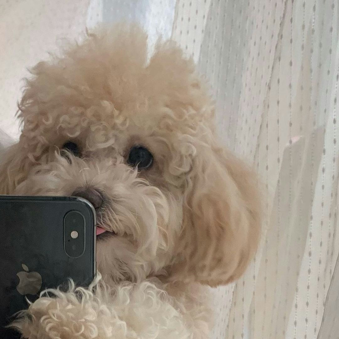 Accéder au profil de Jaeyeong Kim