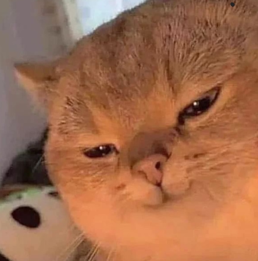 Avatar of user Bryan P.M