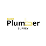 Avatar of user Expert Plumber Surrey