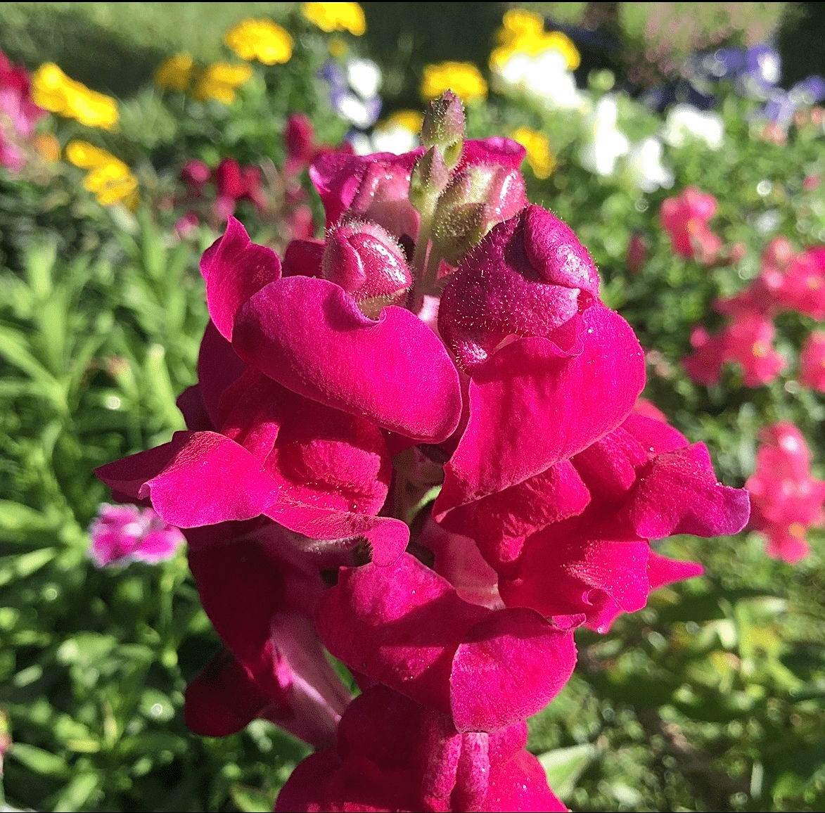 Go to Tyler Moore's profile