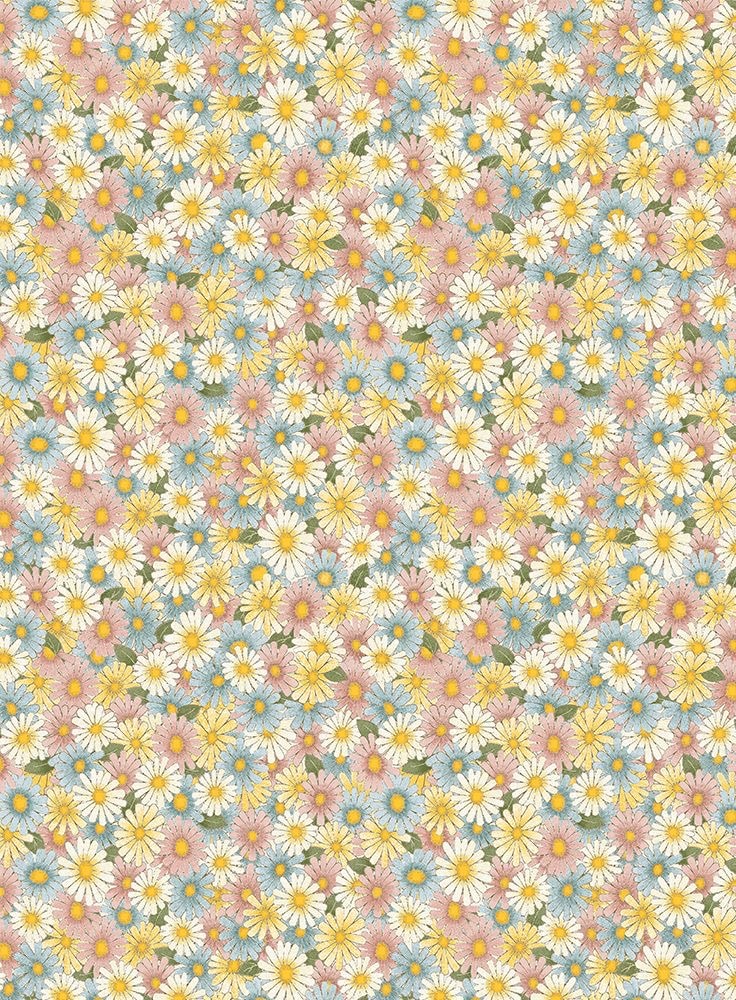 Avatar of user Ambre Le Lohé