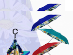 Avatar of user Inverted Umbrella