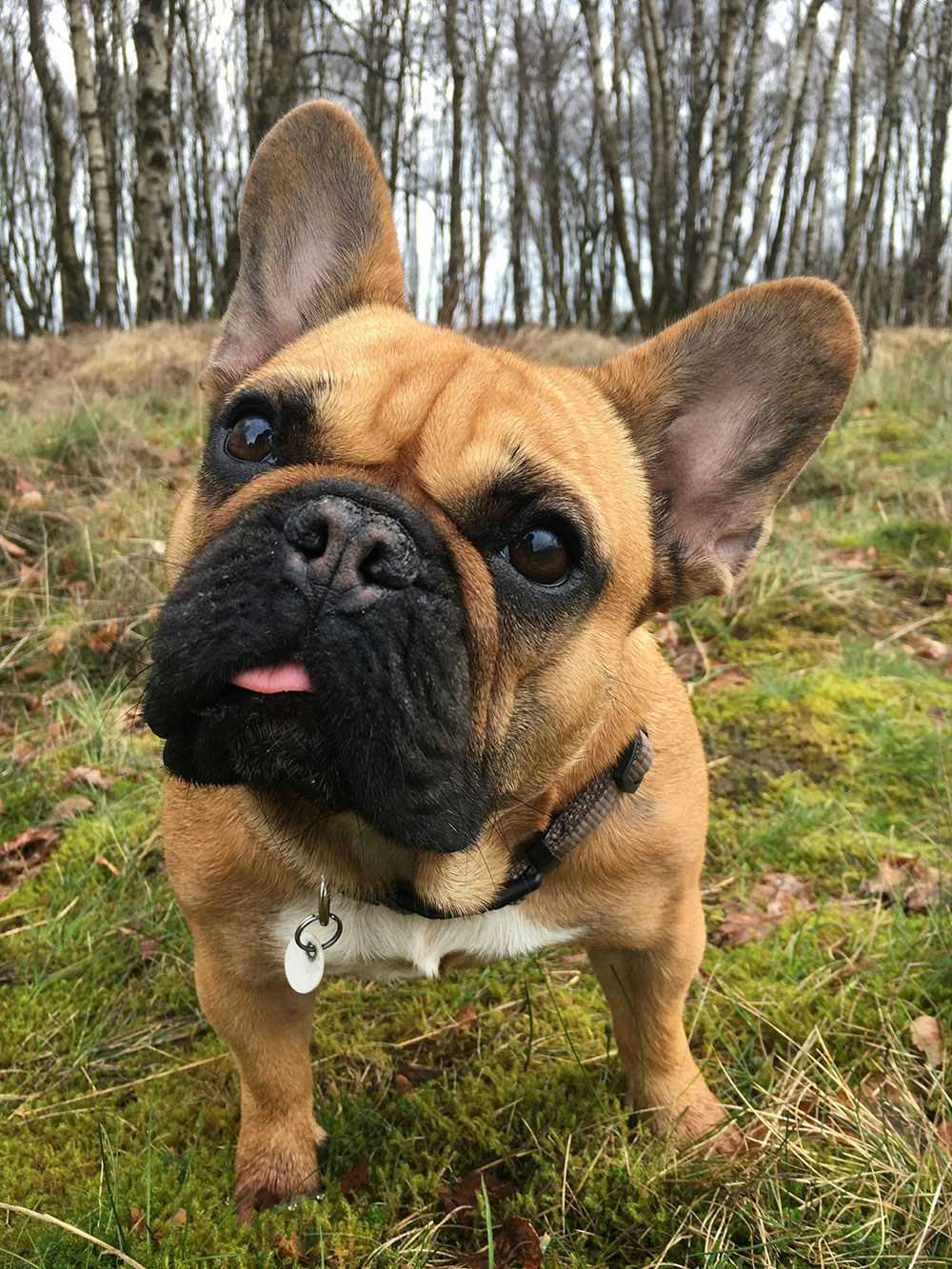 Go to Birgit Meyke's profile