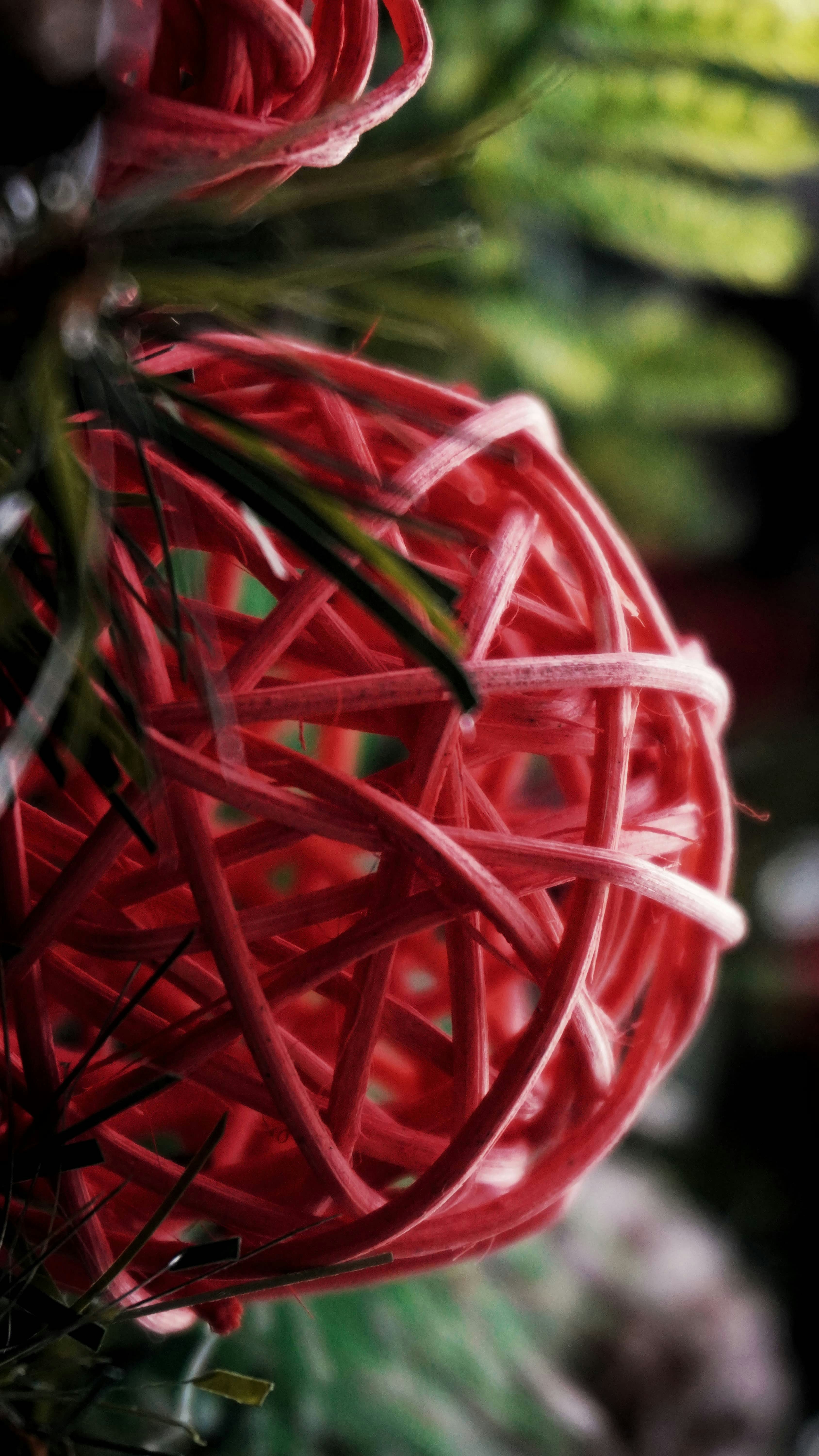 Go to Alex Lo Storto's profile